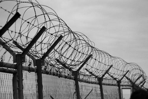 Польша выделит более $370 млн на укрепление заграждения на границе с Белоруссией Польша выделит более $370 млн на укрепление заграждения на границе с Белоруссией