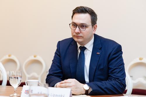 Глава МИД Чехии: право запрещает насильно отправлять призывников на Украину Глава МИД Чехии: право запрещает насильно отправлять призывников на Украину