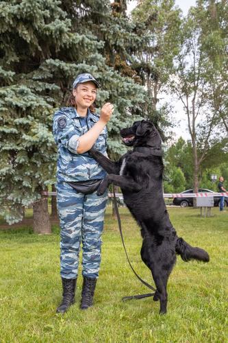 Музей Победы пригласил на бесплатный кинопоказ в День фронтовой собаки