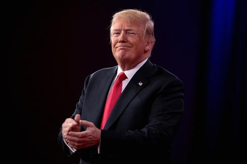 Трамп заявил, что для второго раунда дебатов с Харрис «слишком поздно» Трамп заявил, что для второго раунда дебатов с Харрис «слишком поздно»