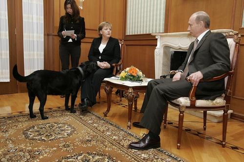 Путин извинился перед Меркель за историю с собакой Путин извинился перед Меркель за историю с собакой
