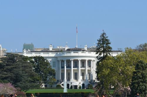 США готовы принести в жертву украинскую молодёжь США готовы принести в жертву украинскую молодёжь