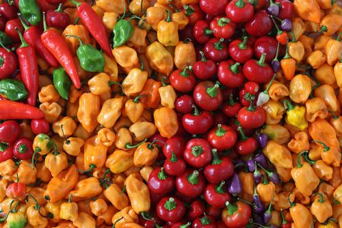 Доктор Мясников: острые приправы могут быть полезными Доктор Мясников: острые приправы могут быть полезными