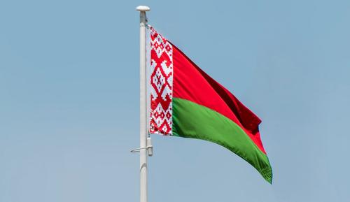 Началось голосование на выборах президента Белоруссии Началось голосование на выборах президента Белоруссии