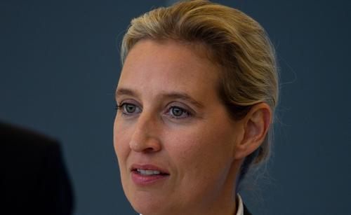 Вайдель выразила надежду, что США и Россия положат конец конфликту на Украине Вайдель выразила надежду, что США и Россия положат конец конфликту на Украине