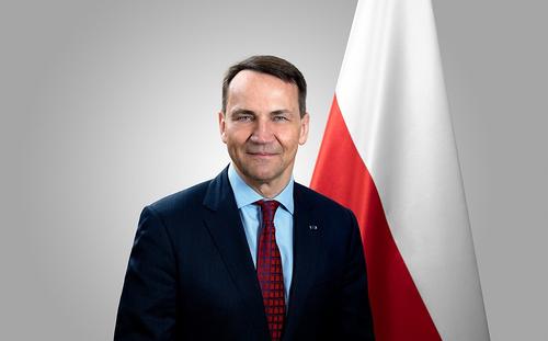 Глава МИД Польши заявил, что Европе придется вводить войска в Украину Глава МИД Польши заявил, что Европе придется вводить войска в Украину