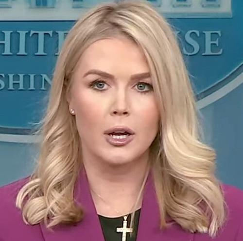 Левитт назвала встречу России и США «монументальным шагом» к миру на Украине Левитт назвала встречу России и США «монументальным шагом» к миру на Украине