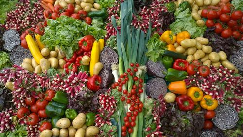 Врач Кутушов: важно есть продукты с клетчаткой Врач Кутушов: важно есть продукты с клетчаткой