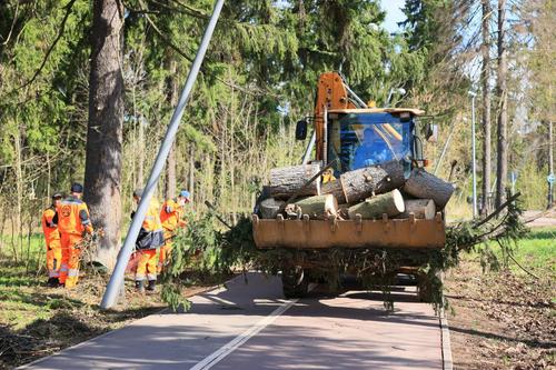 В Подмосковье пройдет Всероссийский субботник В Подмосковье пройдет Всероссийский субботник