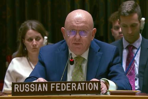 Небензя: на время перемирия Украина должна остановить мобилизацию Небензя: на время перемирия Украина должна остановить мобилизацию