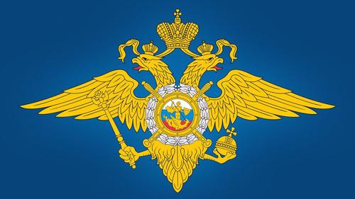 Невидимый фронт: МВД России успешно борется с кибермошенниками Невидимый фронт: МВД России успешно борется с кибермошенниками