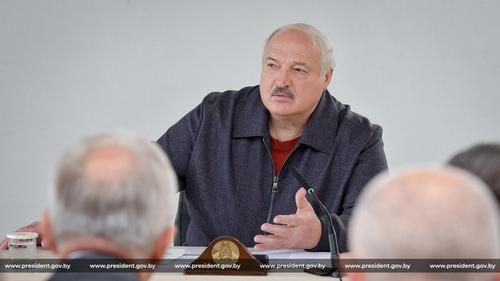 Президент Белоруссии Лукашенко обеспокоен падежом крупного рогатого скота